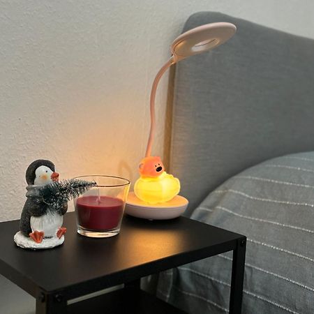 Appartement Au Coeur Strasbourg Kültér fotó